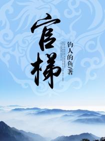 省级智能财税竞赛