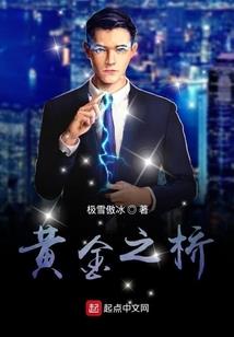 政府会计标准体系的构建