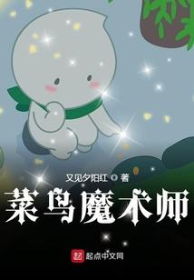 兰州会计中级职称