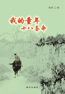 成都财税美女