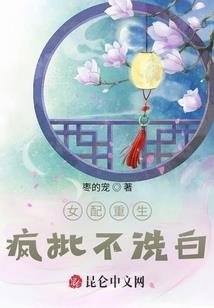 会计师助理范围