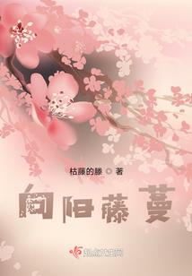 英文财税实证论文