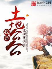 财税税务代理