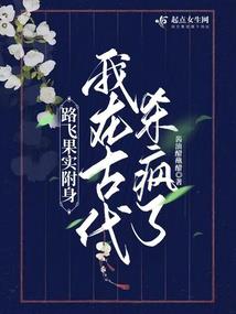 财政人总结范文