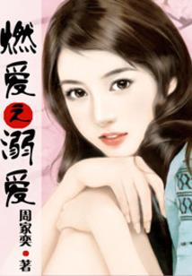 禅城财税咨询热线招聘