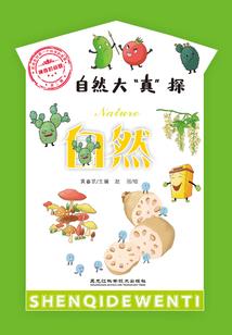会计形象咨询报价怎么写