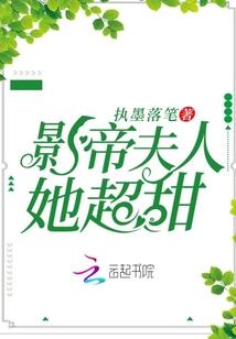 财政总预算会计账本封面
