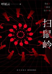 付会计与家奴