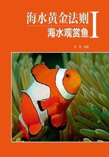 上岸初级会计证