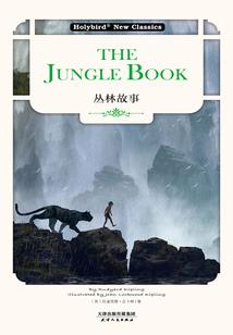 高级会计考试携带书籍