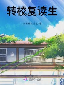 左罗说财税