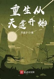 温州财税流程及价格