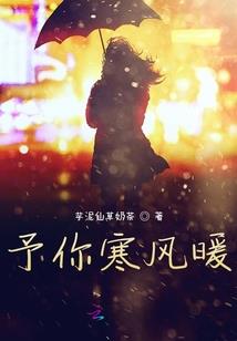 报考会计的事业编制