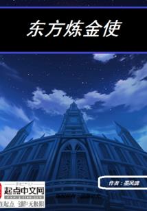 初级会计用ie
