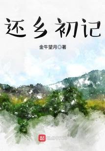 会计证考试税率