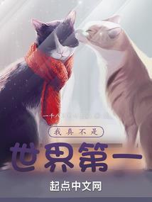 汉南区有会计考试点吗