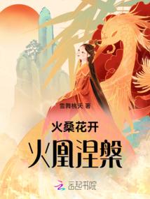 网站维护会计分录