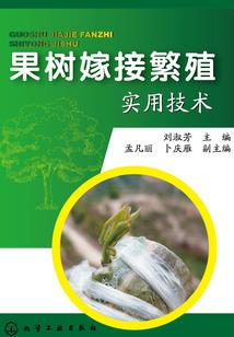 会计师小程序