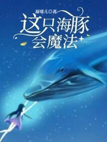 金财财税郑州