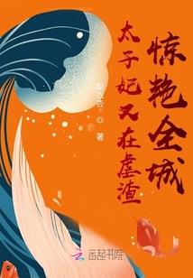 财政的政策目标