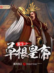 财税saas风险