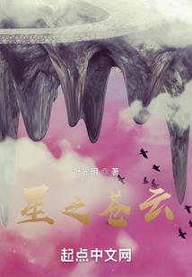 泰安财税顾问咨询
