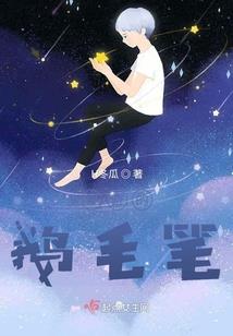 北京刘强会计