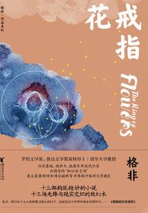 乡镇财政债务防控方案