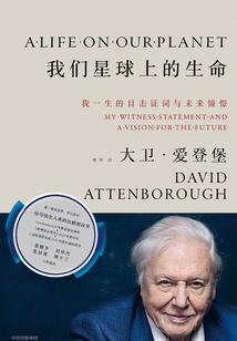 中级会计侯永斌讲解