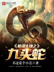 初级会计职称么拟考试