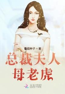 cpa必须考综合吗
