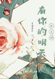 总会计师评定意见