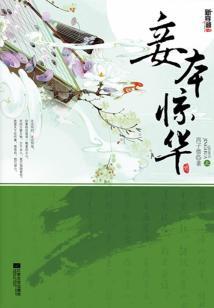 喀什县财政收入多少