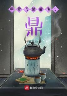 厦大会计理论