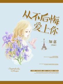 财税集团发展现状