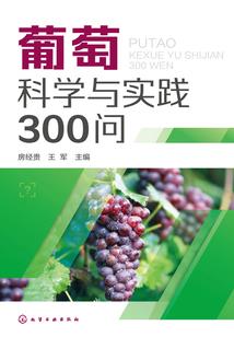 会计师单词拼读