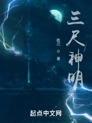 财税软件维护费