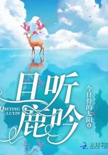 财税服务功能
