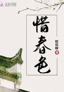 武汉会计师肖某