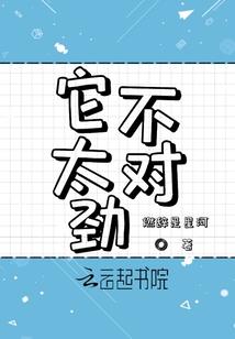 财政局局长什么级别