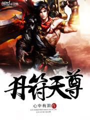会计师收入审计费用多少