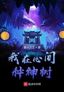 初级会计读本