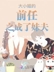 会计师三色书