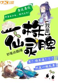荷兰医院会计师待遇