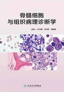 财政部董事会经费