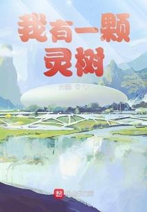 政府的常用会计分录
