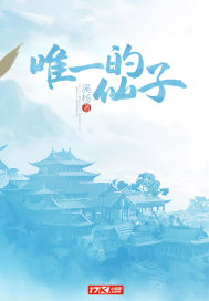 政府会计手续费会计分录