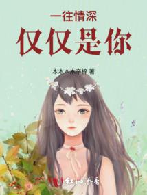 嘉祥鲁账房学会计