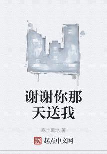 初级审计会计师题型