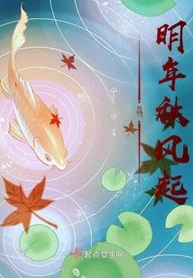 初级会计注册会计税务师